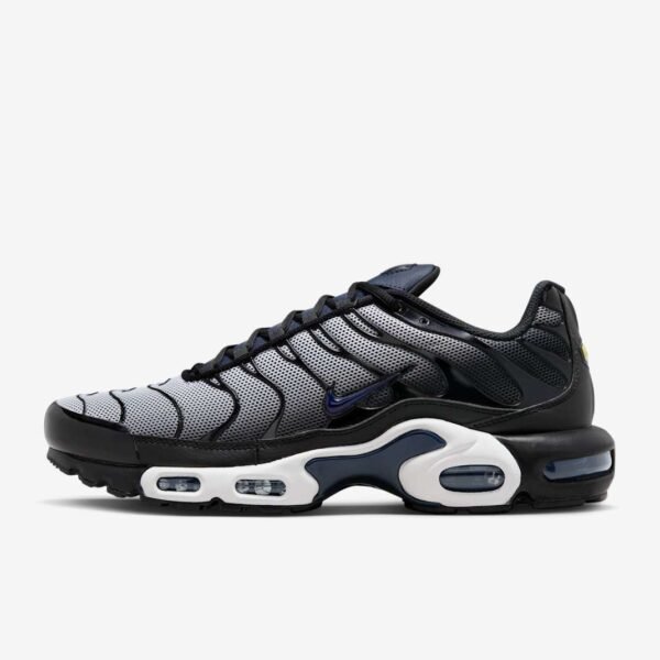 Nike Air Max Plus Obsidian